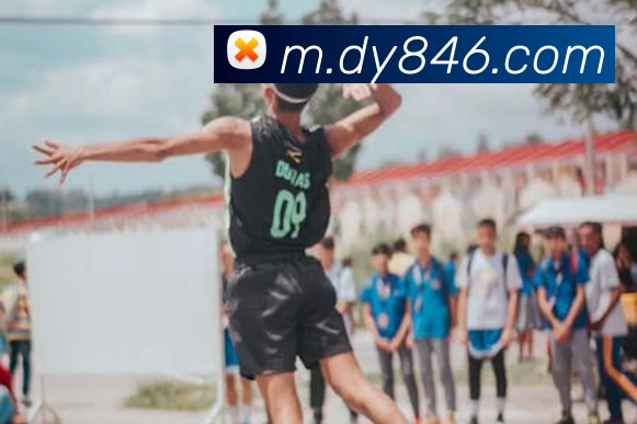 多终端兼容